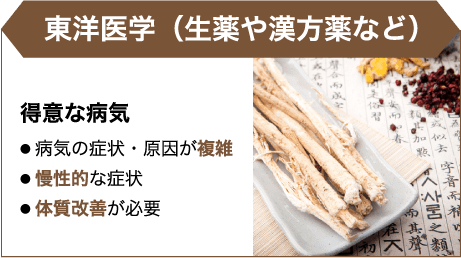 東洋医学（生薬や漢方薬など）
