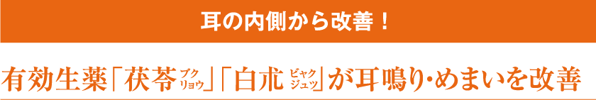 耳の内側から改善!