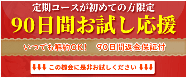 90日お試し応援